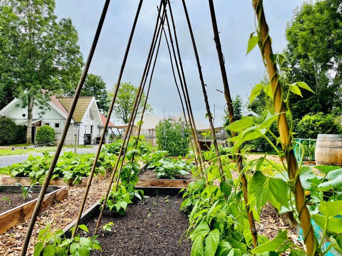 Pod Huisje Met Hottub Dokkum Bagian luar foto